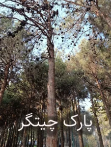 حرکت در مسیر جاده