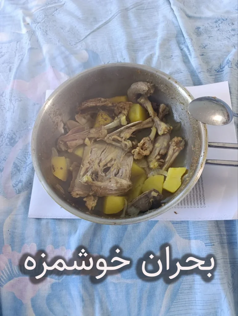 خوراک جوجه