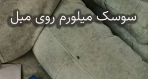 شب ماندن در باغ