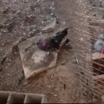 فروختم همه رو